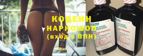 шишки Горняк