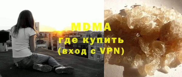 шишки Горняк