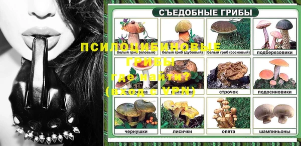 шишки Горняк