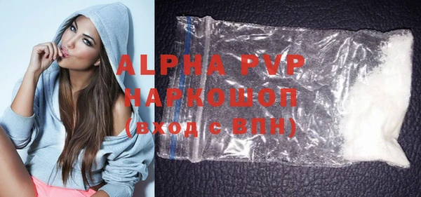 шишки Горняк