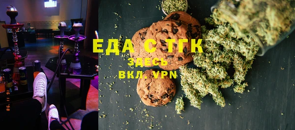 шишки Горняк