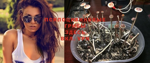 mix Горнозаводск