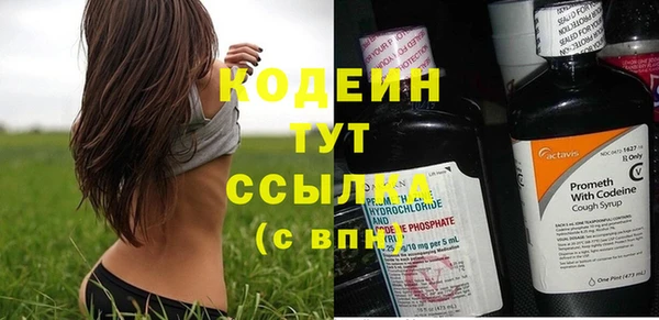 шишки Горняк