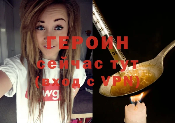 шишки Горняк