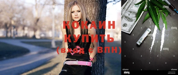 шишки Горняк