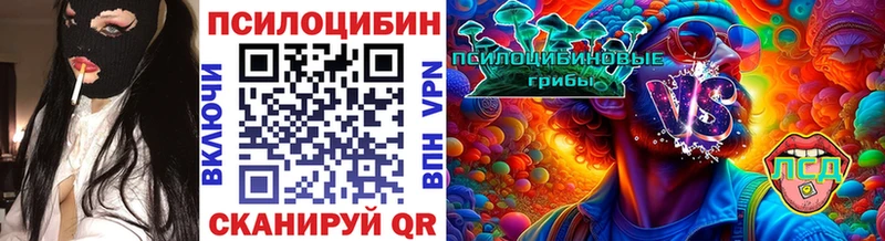 Псилоцибиновые грибы Cubensis  Белгород 